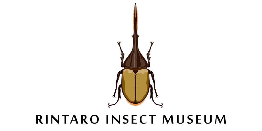 RINTARO INSECT MUSEUM